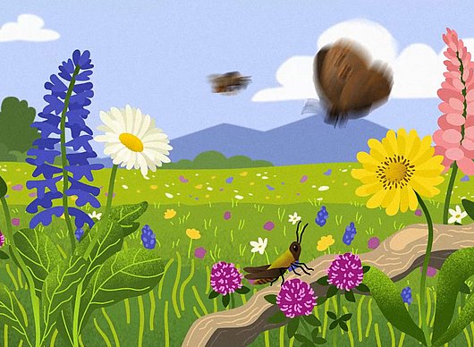 Titelbild mit Insekten und Blumen